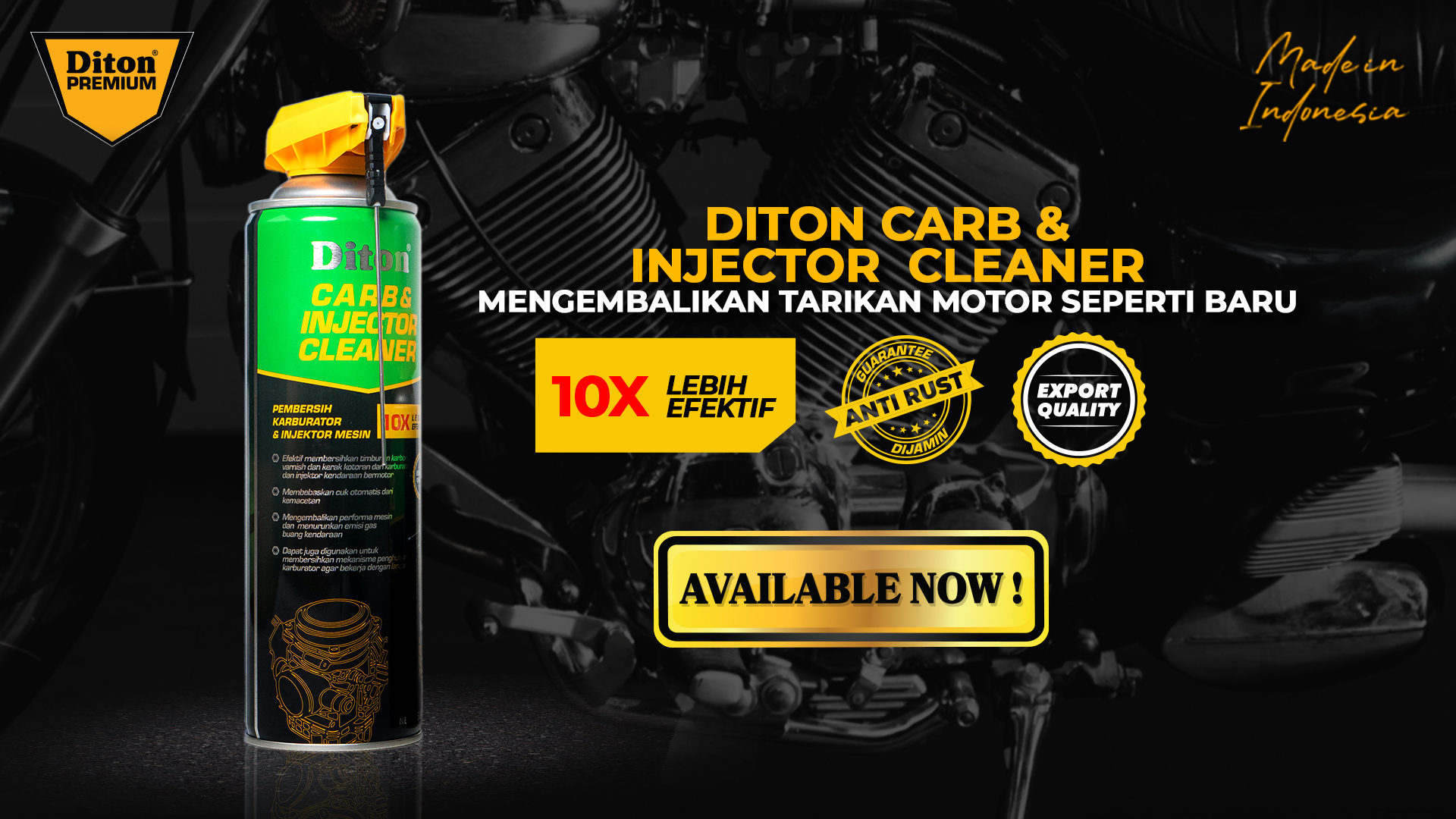 Diton Carb & Injector Cleaner